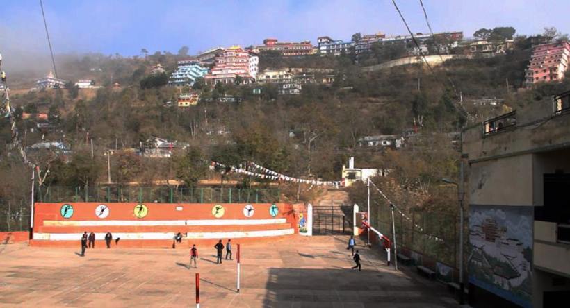 10917434_10205791161640873_6859325299479981078_n